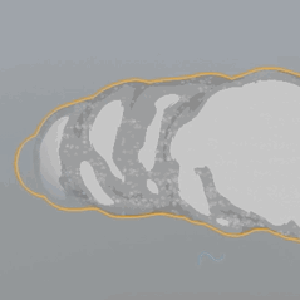 train/smoke.gif